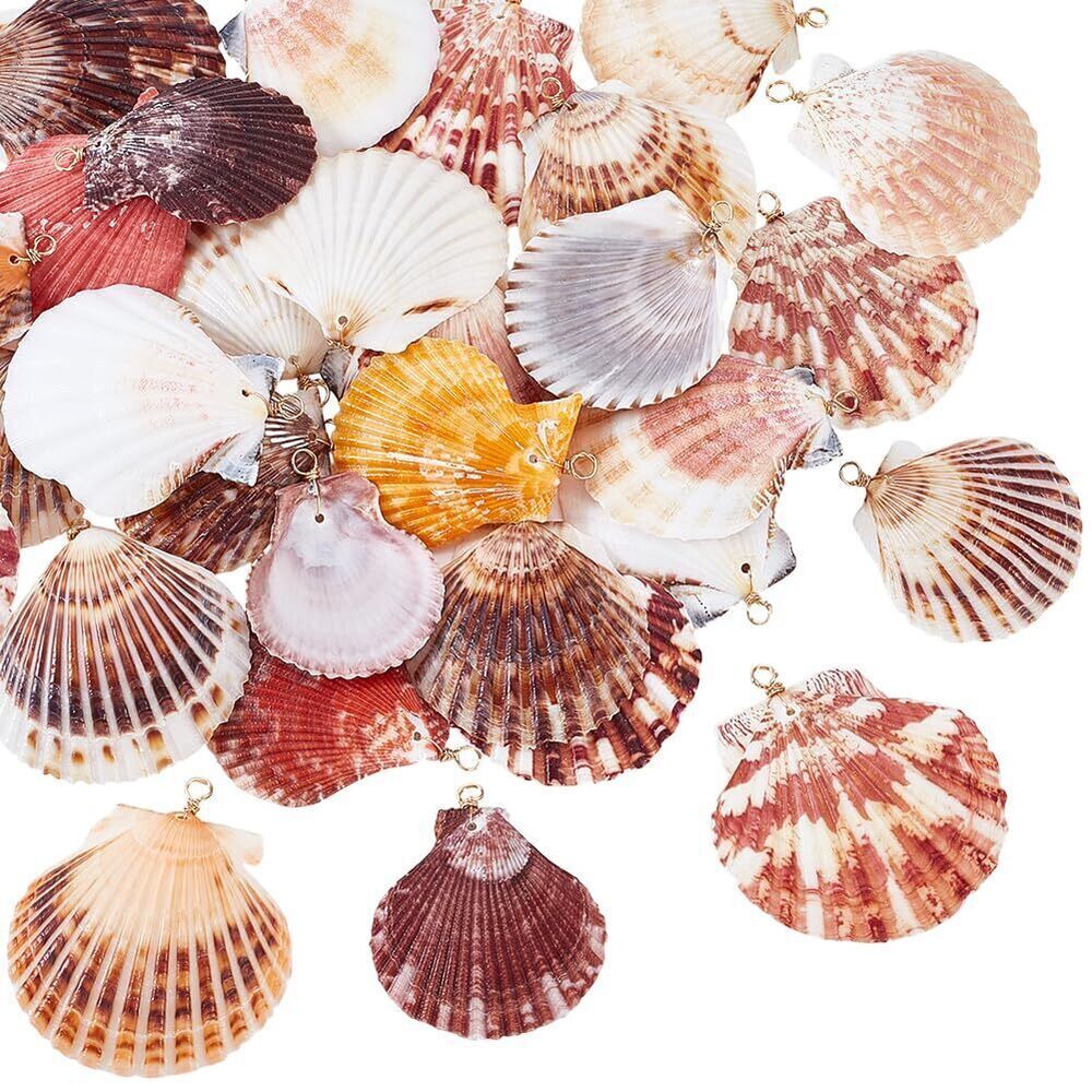 8474 32pcs 4 Styles Natural Seashells Charms, 1.6~2.1 inch Ocean Sea Shell